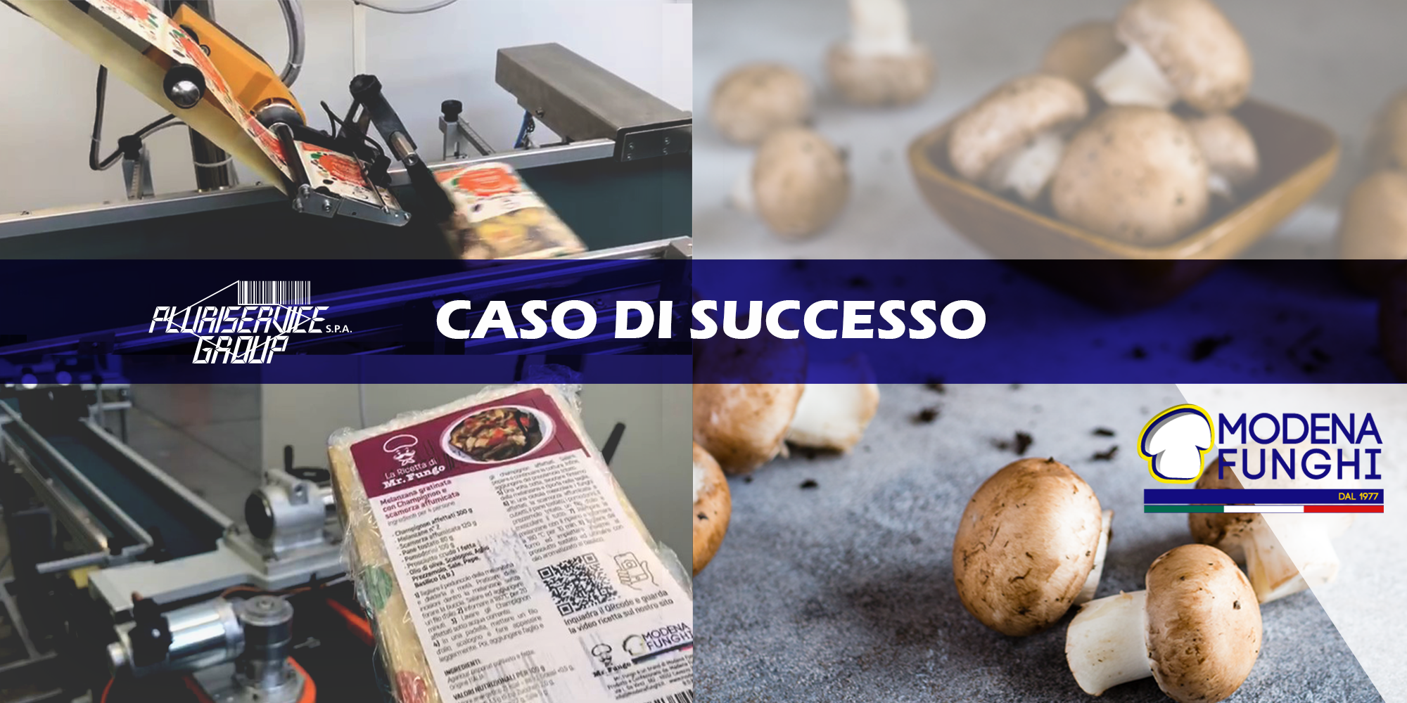 Modena Funghi sceglie Pluriservice per il sistema di etichettatura automatica