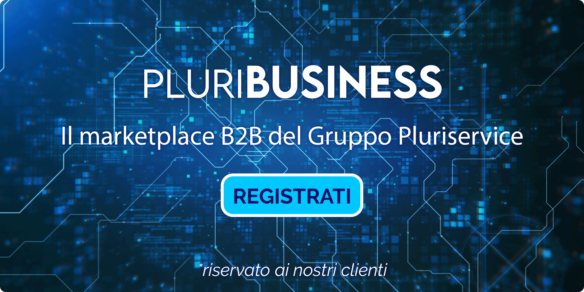 PLURIBUSINESS B2B Pluriservice PLURIBUSINESS B2B Pluriservice