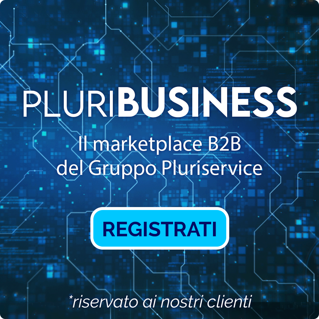 PLURIBUSINESS B2B Pluriservice PLURIBUSINESS B2B Pluriservice