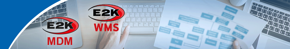 software WMS e MDM software WMS e MDM