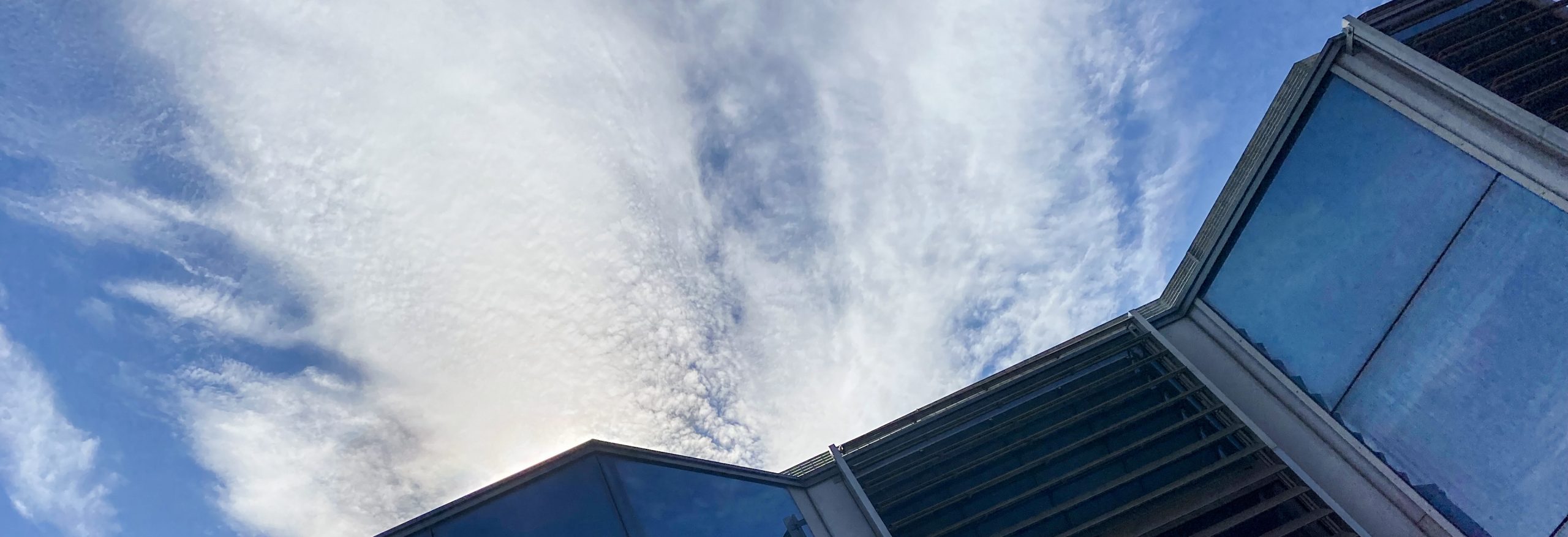 PLURISERVICE_SEDE_RAVENNA